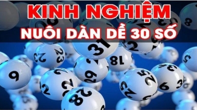 Dàn đề 30 số - Bí quyết chơi thắng lớn trong xổ số